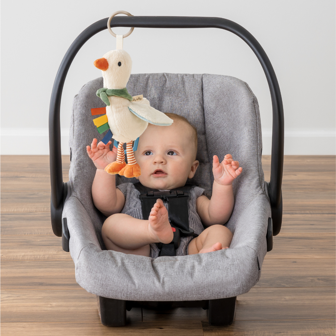 Gracie the Silly Goose - Plush Bundle