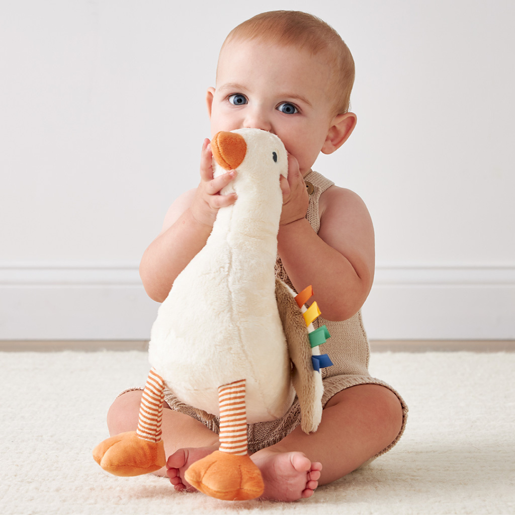 Gracie the Silly Goose - Plush Bundle